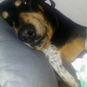 Meet your Posher, Marianne